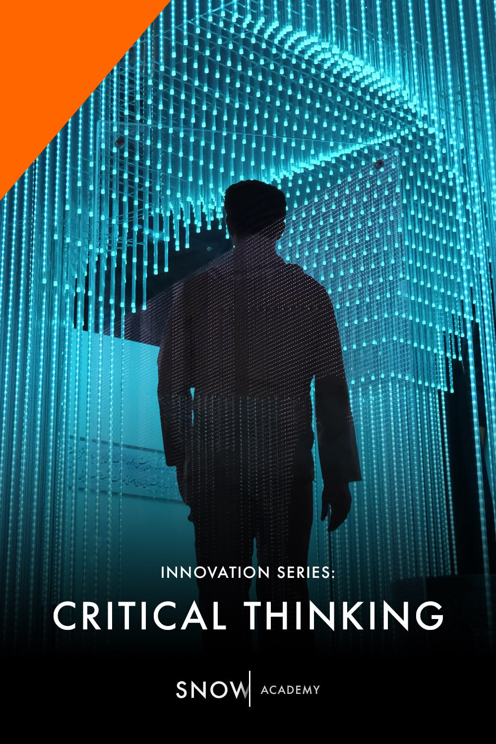 Snow Academy critical thinking course